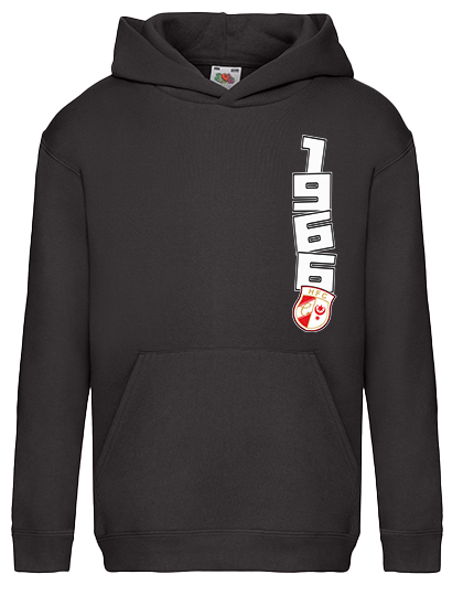 1966 Horizontal Kinderhoodie