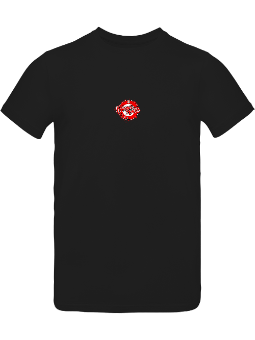 Chemie Halle Est. 1966 Vorder- Rückendruck POD