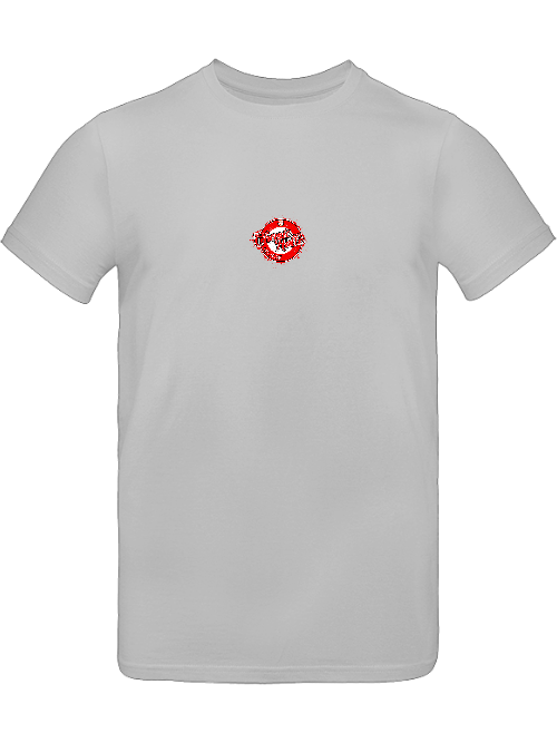 Chemie Halle Est. 1966 Vorder- Rückendruck POD