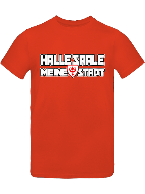 Halle Saale - Meine Stadt POD